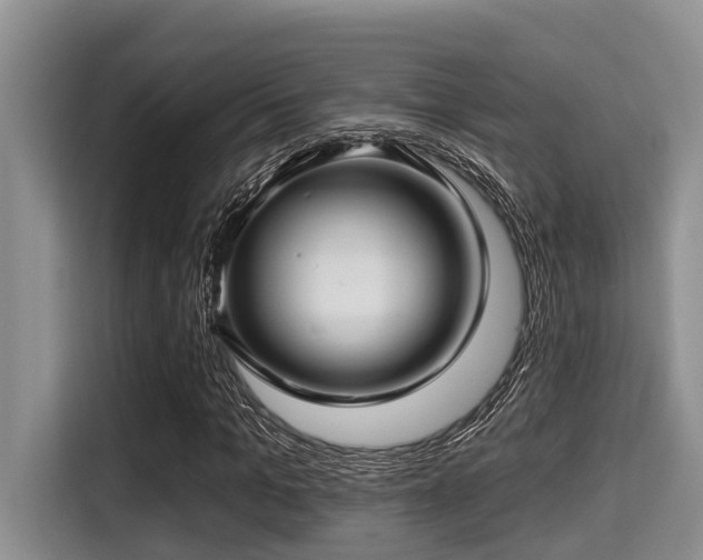 X0000115290965200911090949