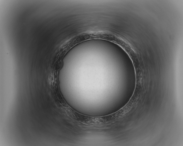 X0000115290966200911090949