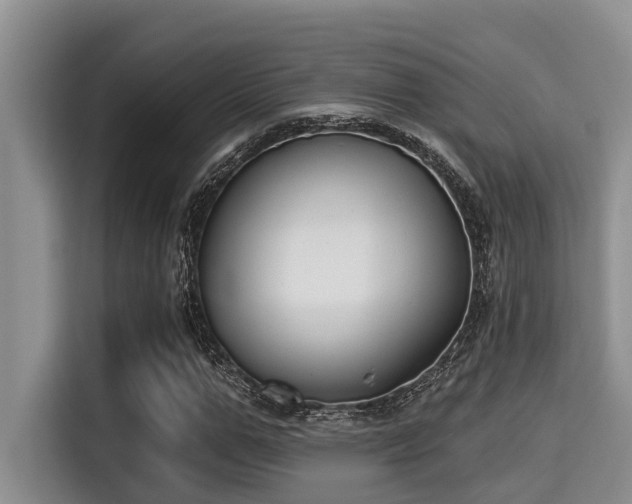 X0000115290967200911090949