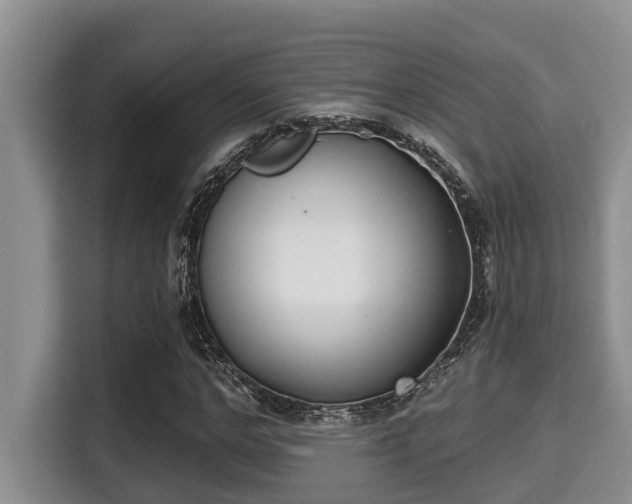 X0000115290968200911090948