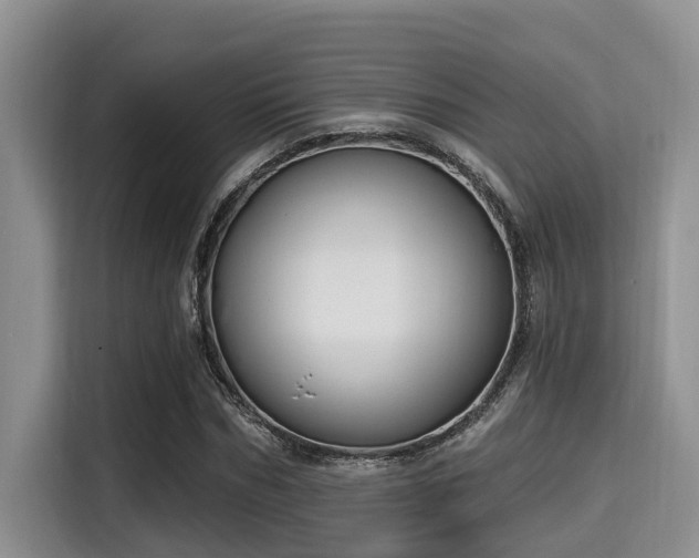 X0000115290970200911090948
