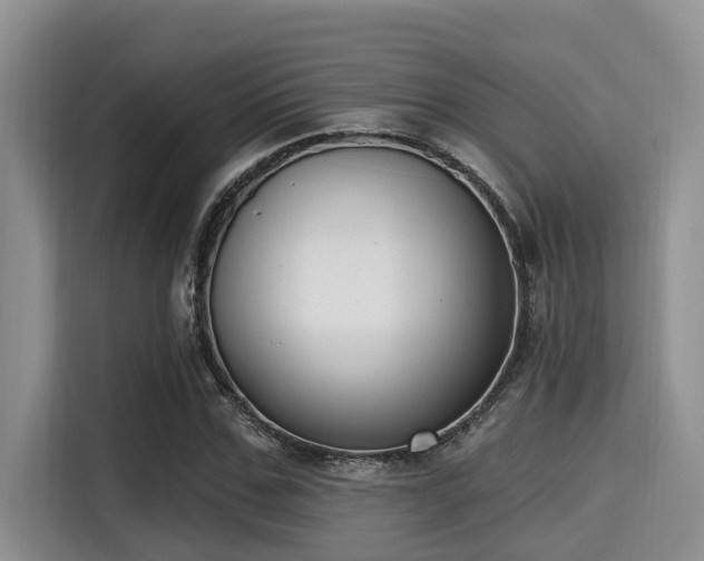 X0000115290971200911090948