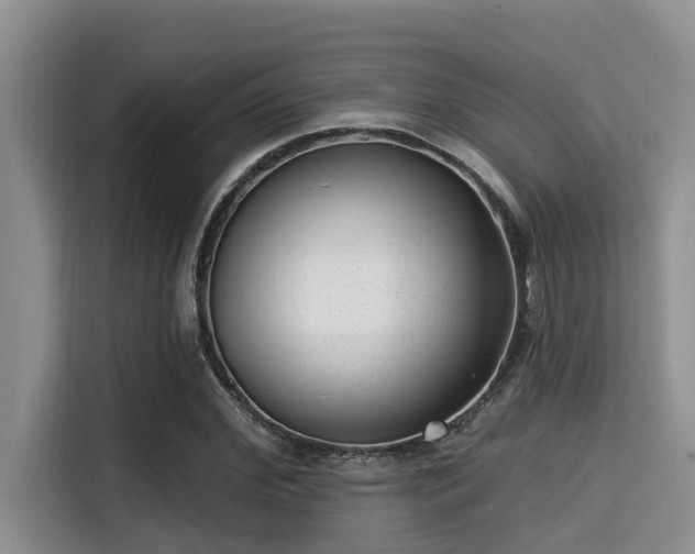 X0000115290972200911090948