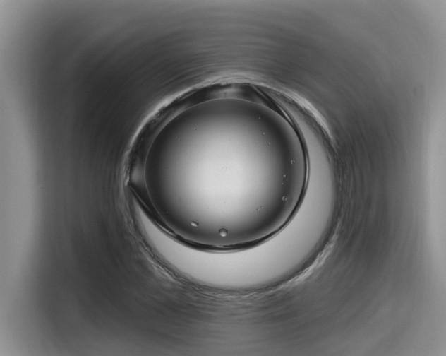 X0000115290973200911090948