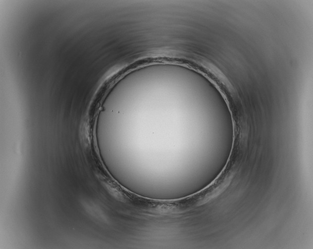 X0000115290974200911090948