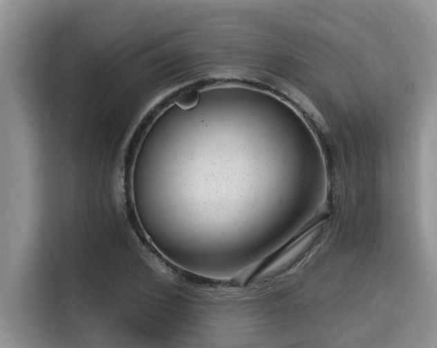 X0000115290976200911090948