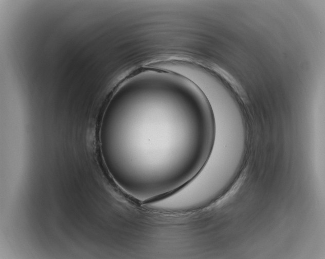 X0000115290977200911090948