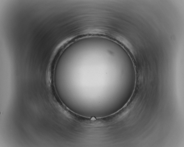 X0000115290979200911090948