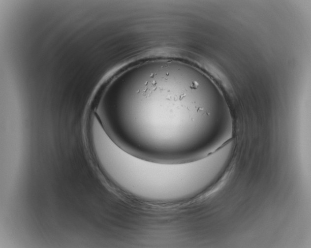 X0000115290981200911090948