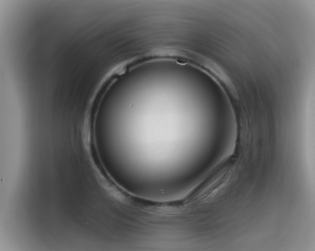 X0000115290984200911090948
