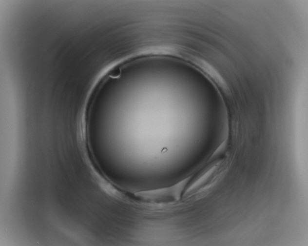 X0000115290988200911090948