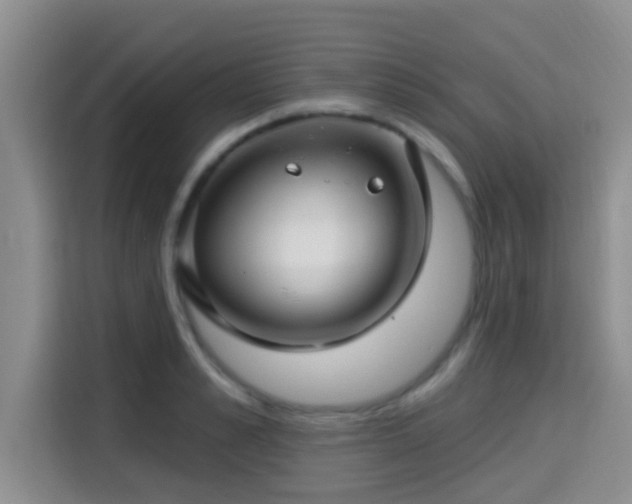 X0000115290989200911090948