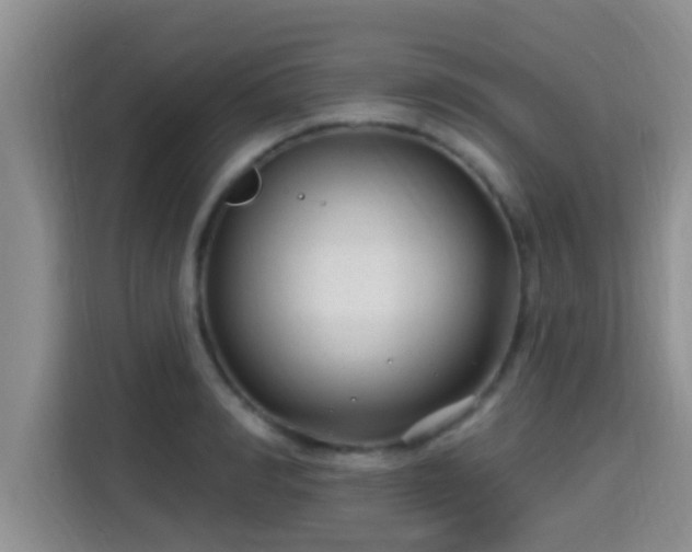 X0000115290990200911090948