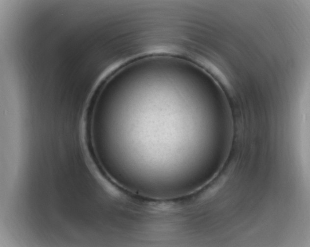 X0000115290991200911090948