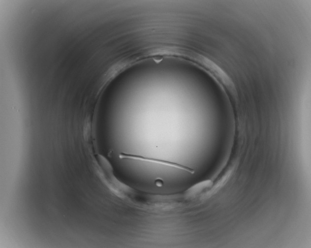X0000115290993200911090948