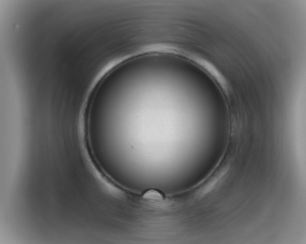 X0000115290999200911090948