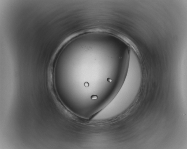 X0000115291000200911090948