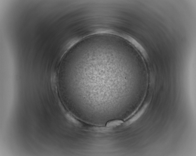 X0000115291001200911090948