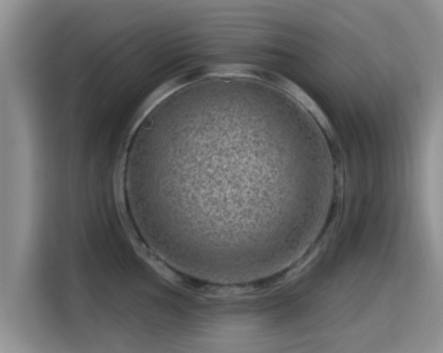 X0000115291002200911090948