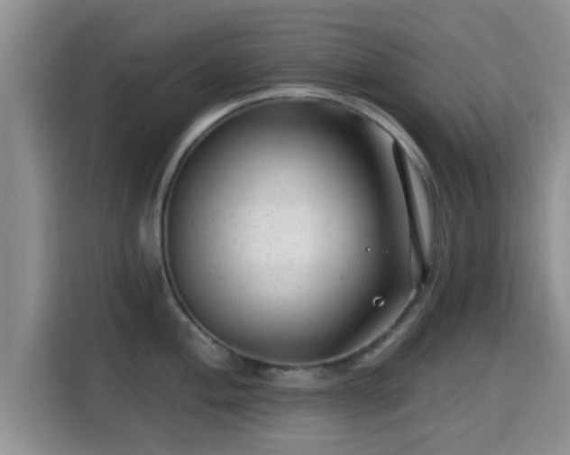 X0000115291004200911090948
