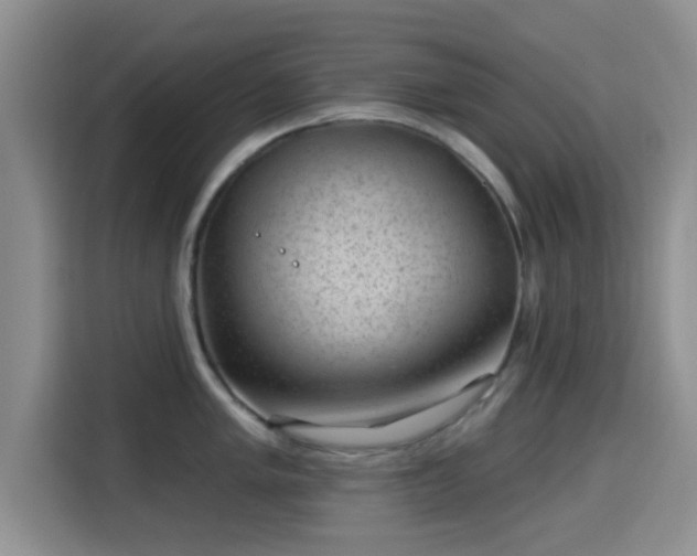X0000115291005200911090948