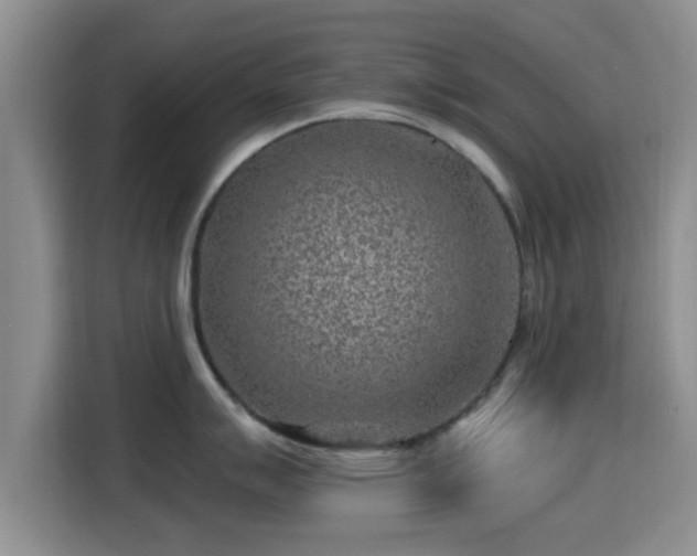 X0000115291007200911090948