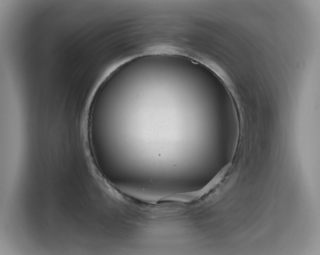 X0000115291008200911090948
