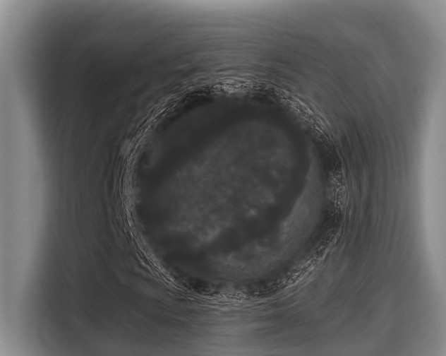 X0000115291009200911090947