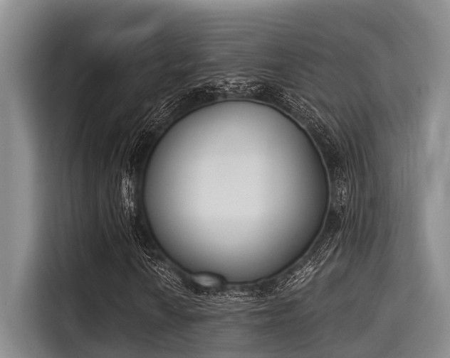 X0000115291010200911090947