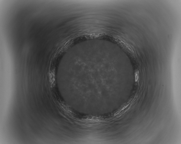 X0000115291011200911090947