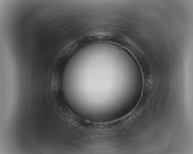 X0000115291014200911090947