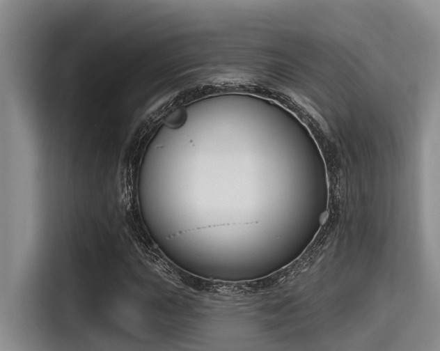 X0000115291015200911090947