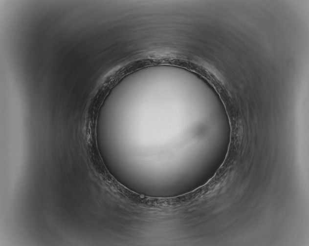 X0000115291016200911090947