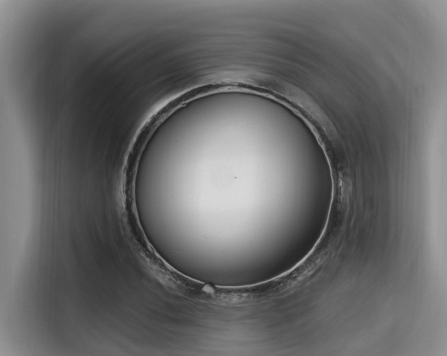 X0000115291020200911090947