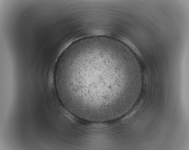 X0000115291023200911090948