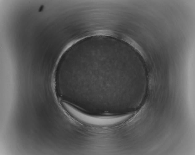 X0000115291024200911090948