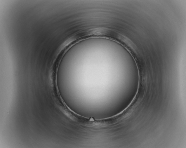 X0000115291026200911090948