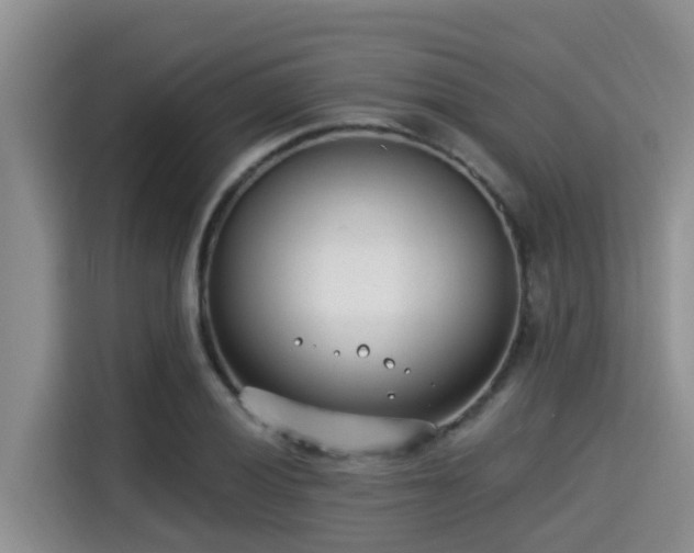 X0000115291028200911090948