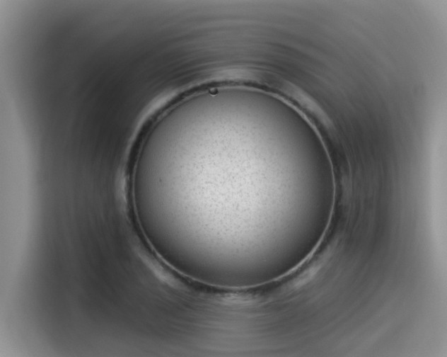 X0000115291029200911090948