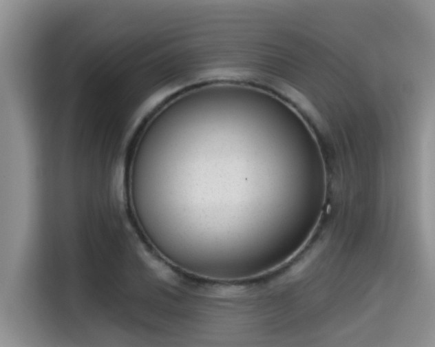 X0000115291030200911090948