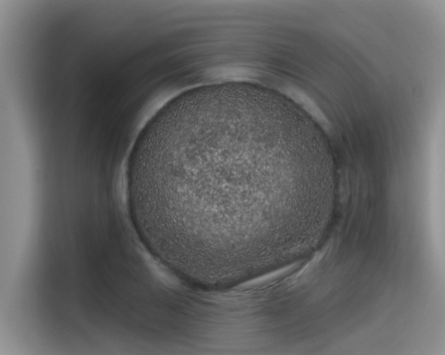X0000115291031200911090948