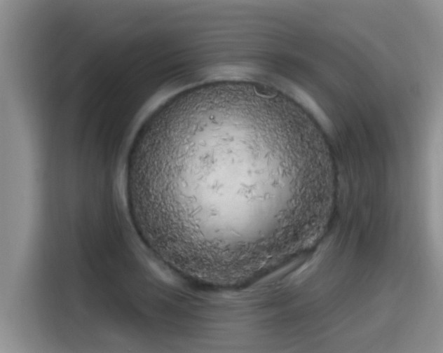 X0000115291035200911090948