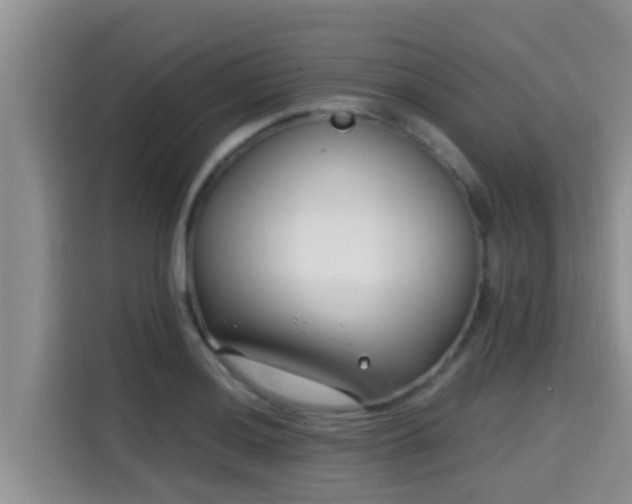 X0000115291036200911090948