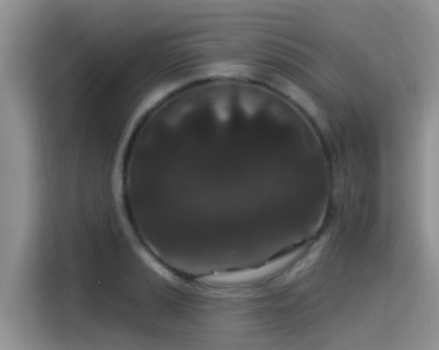 X0000115291037200911090948