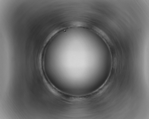 X0000115291039200911090948