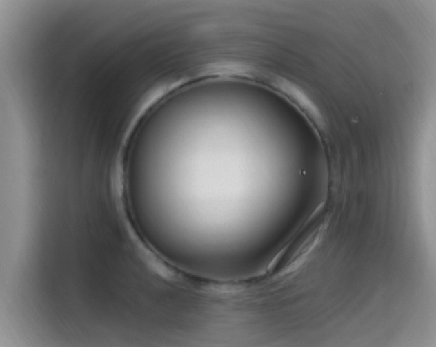 X0000115291040200911090948
