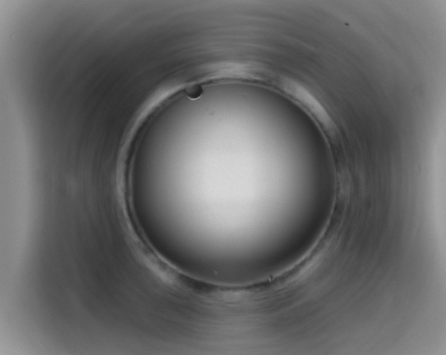 X0000115291043200911090948