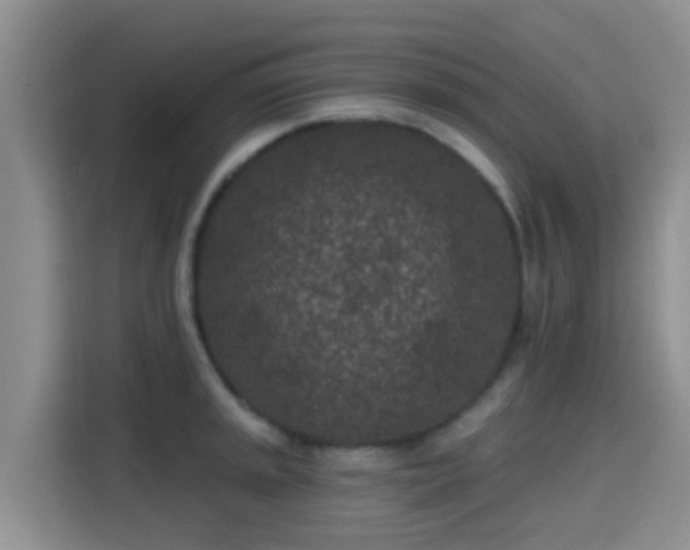X0000115291045200911090948