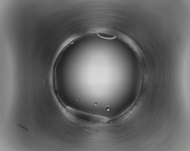 X0000115291050200911090948