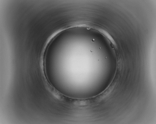 X0000115291051200911090948